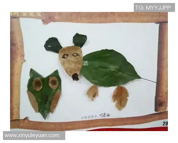 创意无限狗狗足球自制教程带你和爱犬一起享受运动乐趣