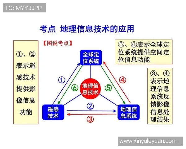 探索足球步态对运动表现和技术提升的影响与应用研究