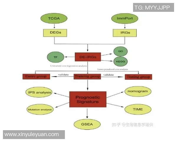 深入探讨上海篮球队在比赛中的节奏表现与数据分析结果
